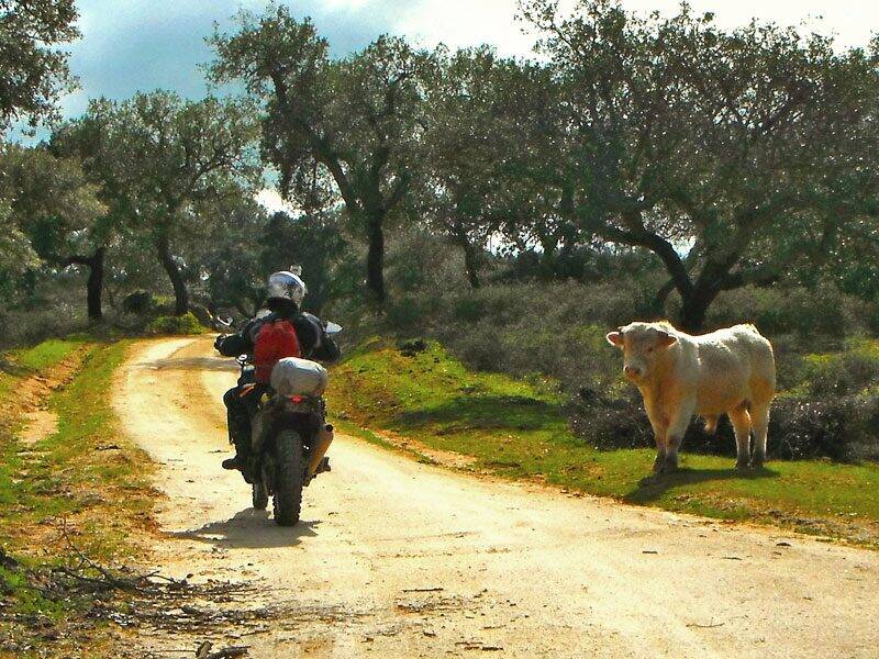 Alentejo cork trails