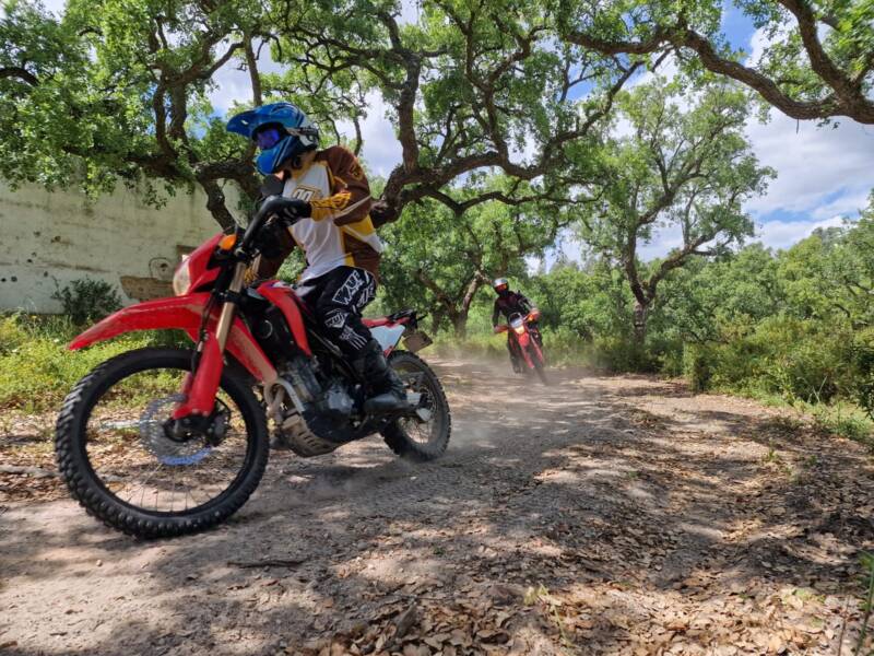 Cork oak trail ride