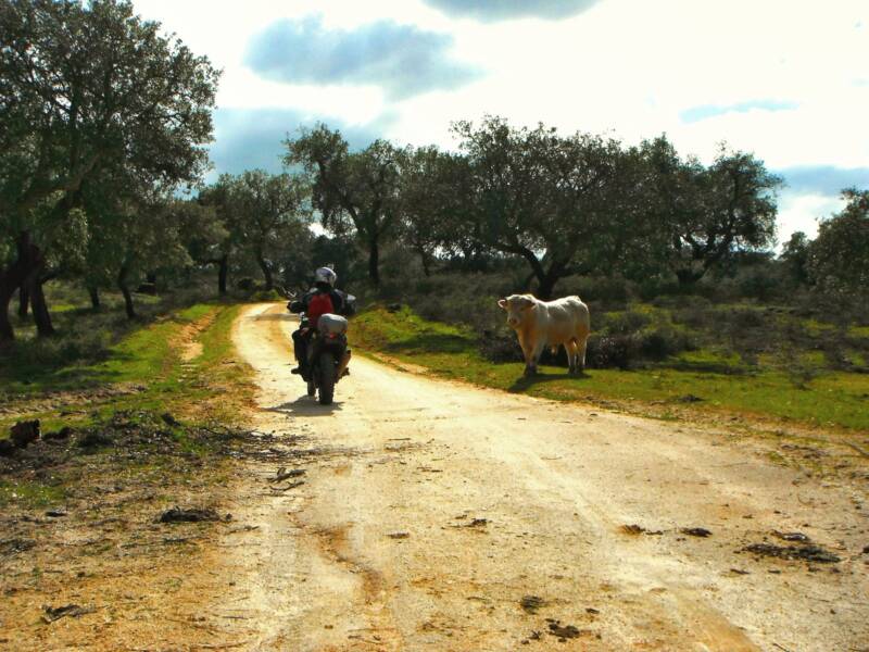 OFFroad OFFcourse — 3day gallery 12