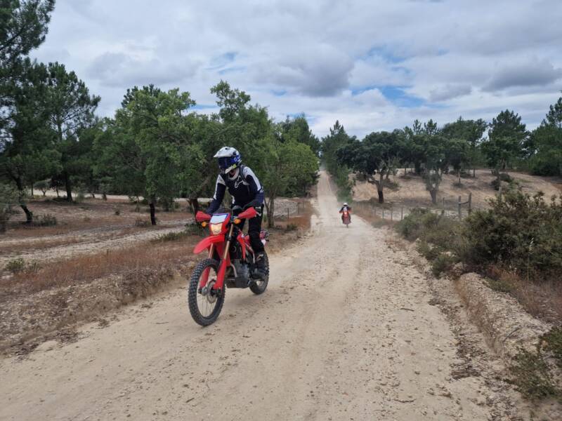 OFFroad OFFcourse — summit gallery 4