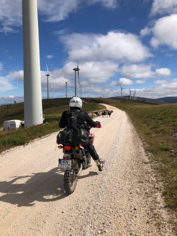 OFFroad OFFcourse — summit gallery 16