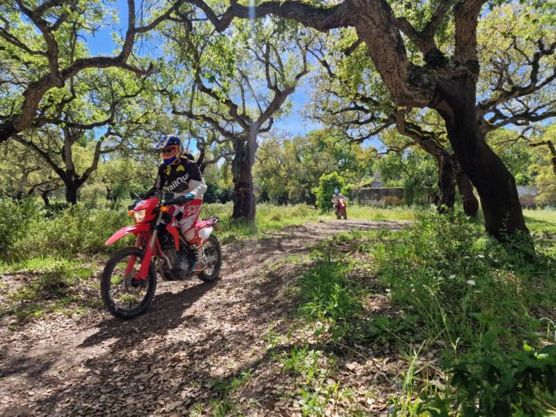 OFFroad OFFcourse — wintersun gallery 7