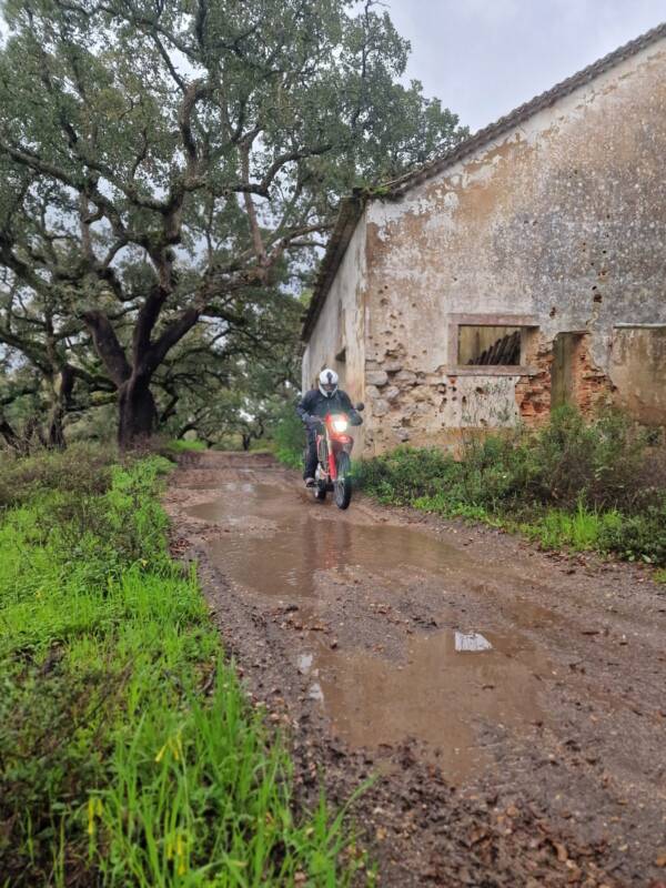 OFFroad OFFcourse — wintersun gallery 9