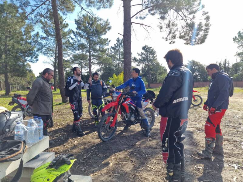 Group training pines