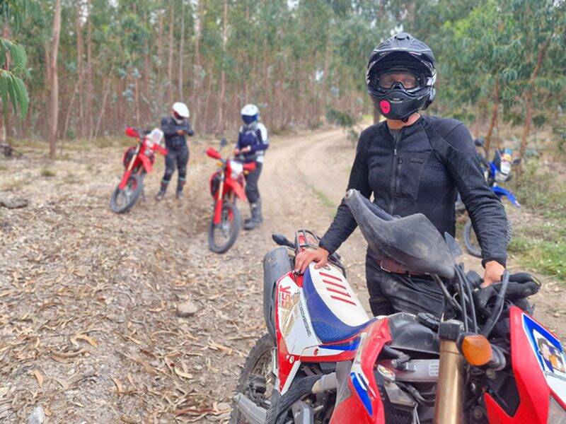 Rodao forest trails