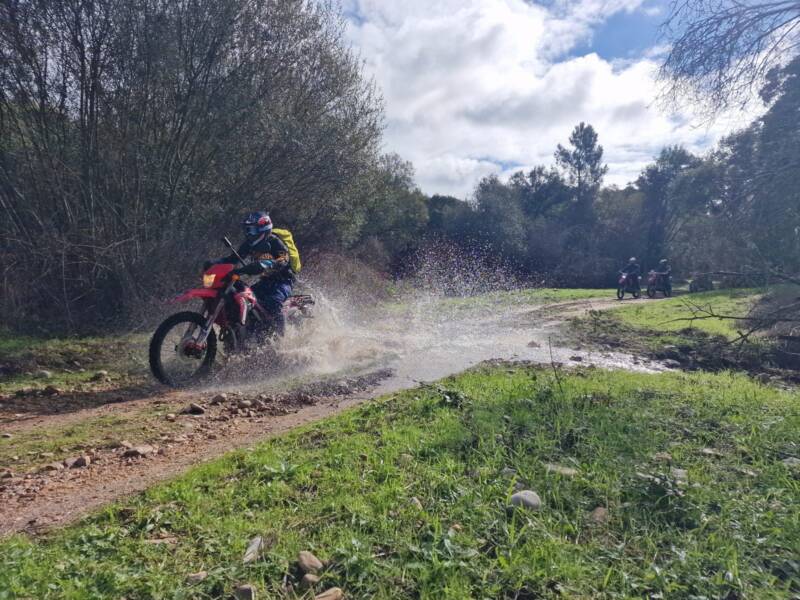 Stream splash ride